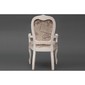 Cтул с мягким сиденьем и спинкой Princess