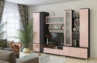 Гостиная Гамма 6 SV